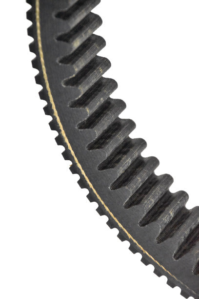 COURROIE PBX-P1312 (SKIDOO, BRP)