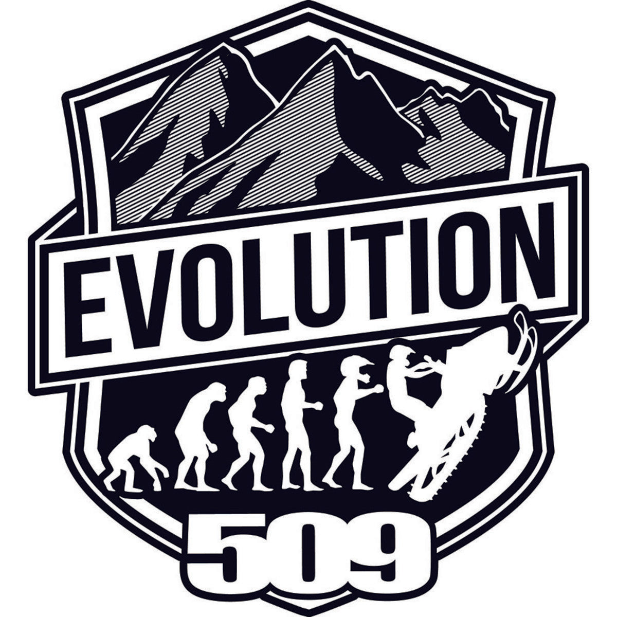 Evolution Sticker 509